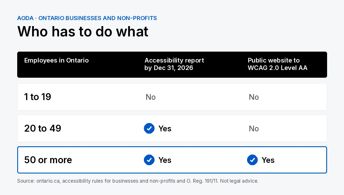 Chart of AODA duties for Ontario businesses and non-profits by number of employees: 1 to 19 employees, no compliance report and no website rule; 20 to 49 employees, accessibility compliance report due by December 31, 2026 but no website rule; 50 or more employees, both the report and a public website meeting WCAG 2.0 Level AA.